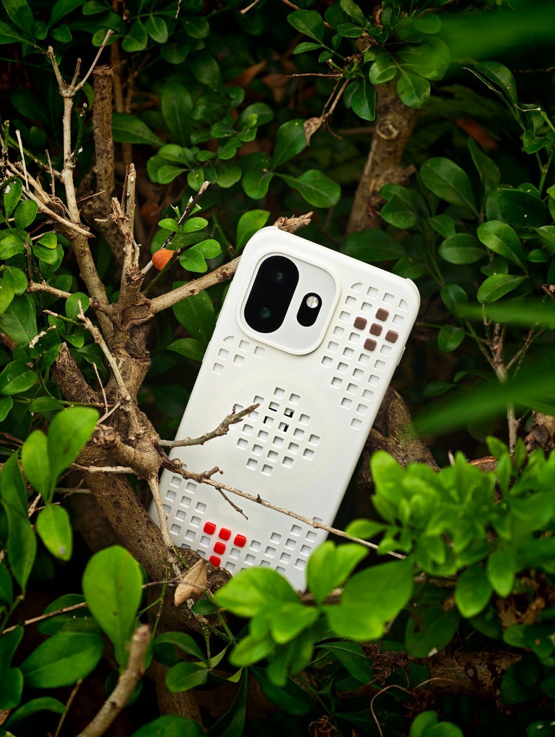 树上长了一台治愈白巧