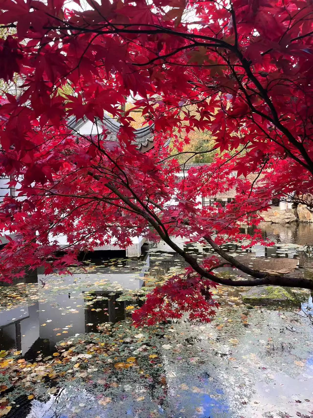 孩子的长大懂事是为父母者最开心的事情。女儿写给我的随笔，在这个冬日里给我无穷的力