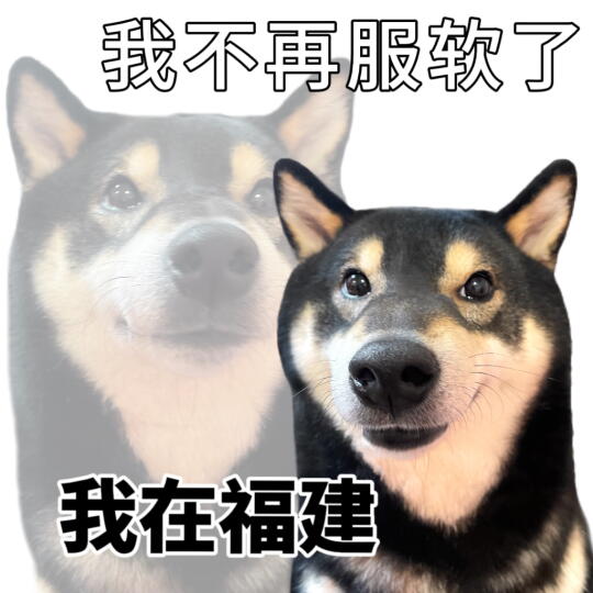 表情包|请选择你的假期目的地👀