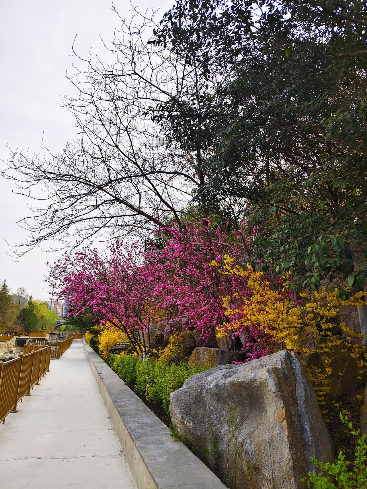 春困秋乏是真的吗？春天随着气候渐渐转暖，常感到浑身没劲，时不时还总爱打瞌睡，变得