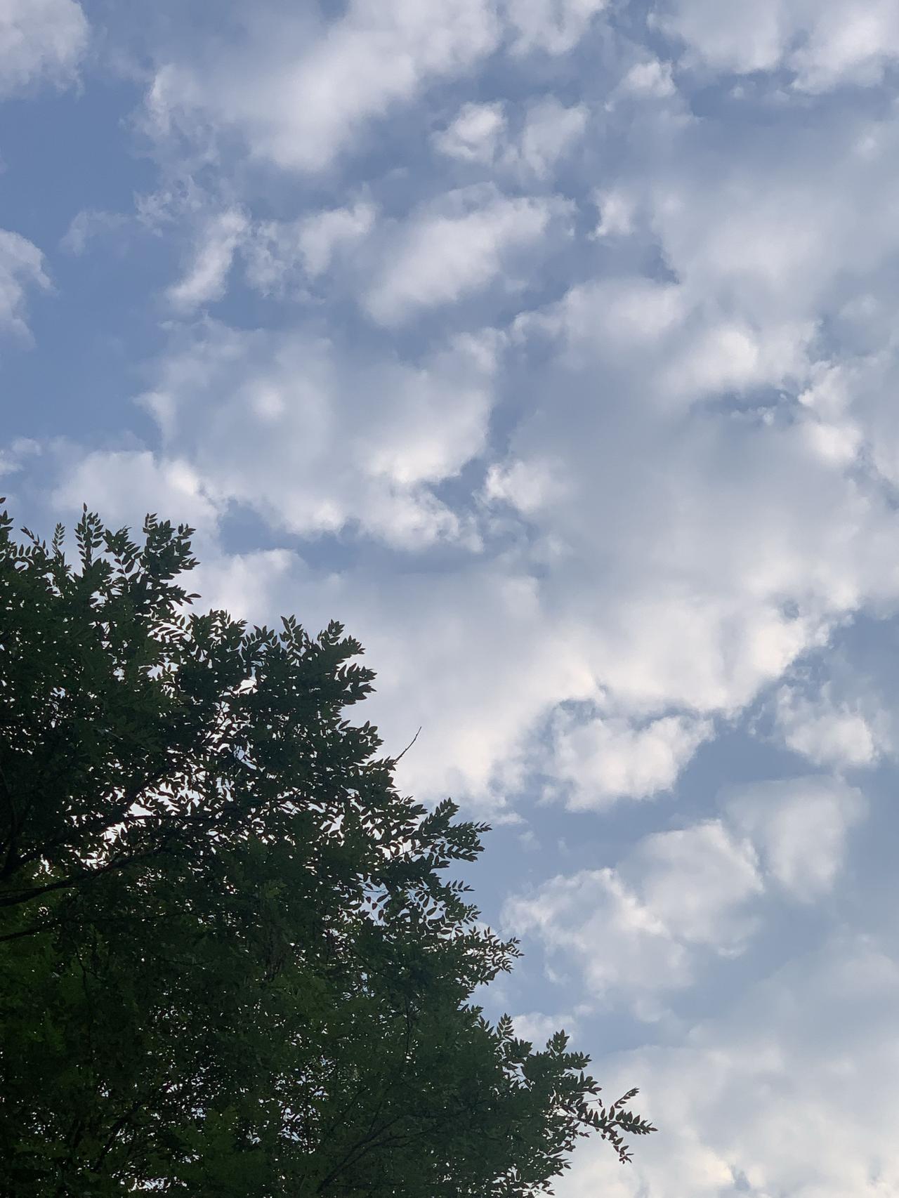 晒晒今天下午17的天空。无论什么天气都很美，因为我爱这片土地这片天！