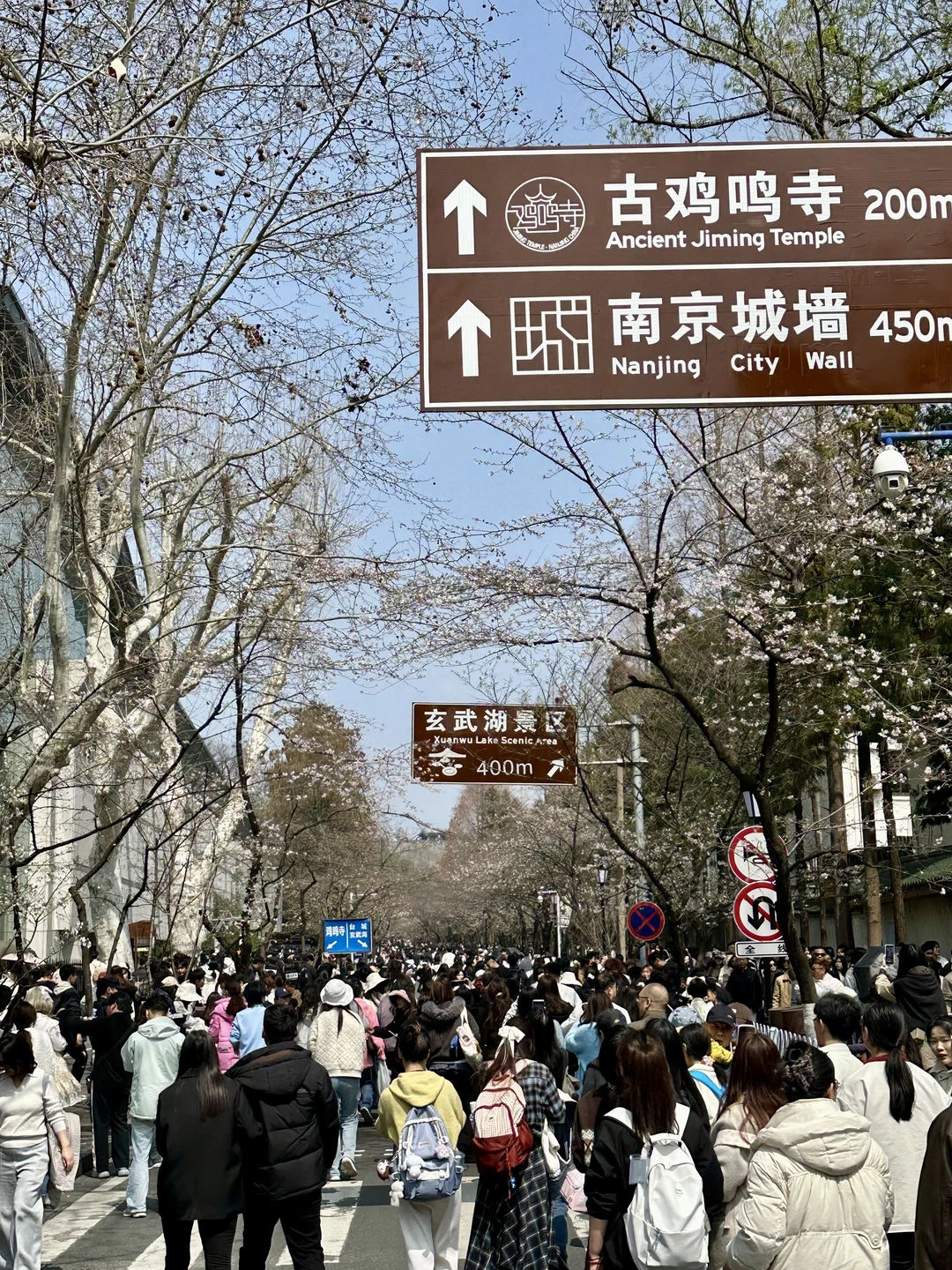 3.21实拍，鸡鸣寺的人人人人…花🌸
