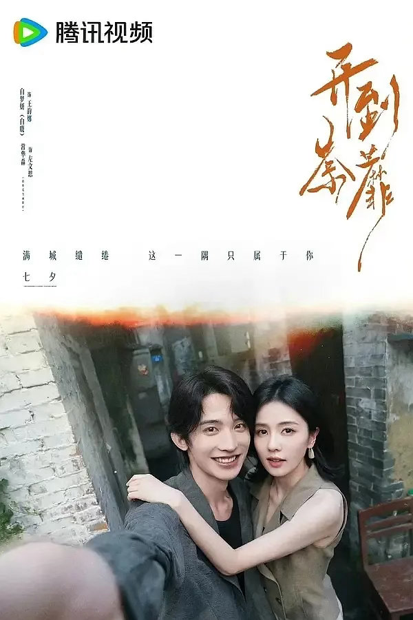 白鹿常华森VS白鹿彭冠英，哪对更适配？ 
