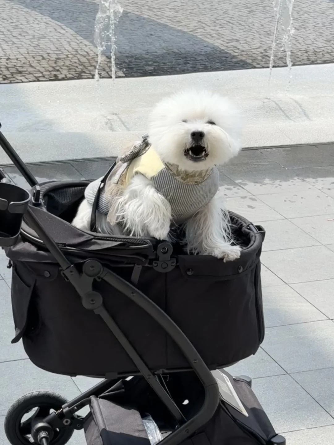 bo的第三辆🇰🇷一体式折叠宠物推车（附测评！