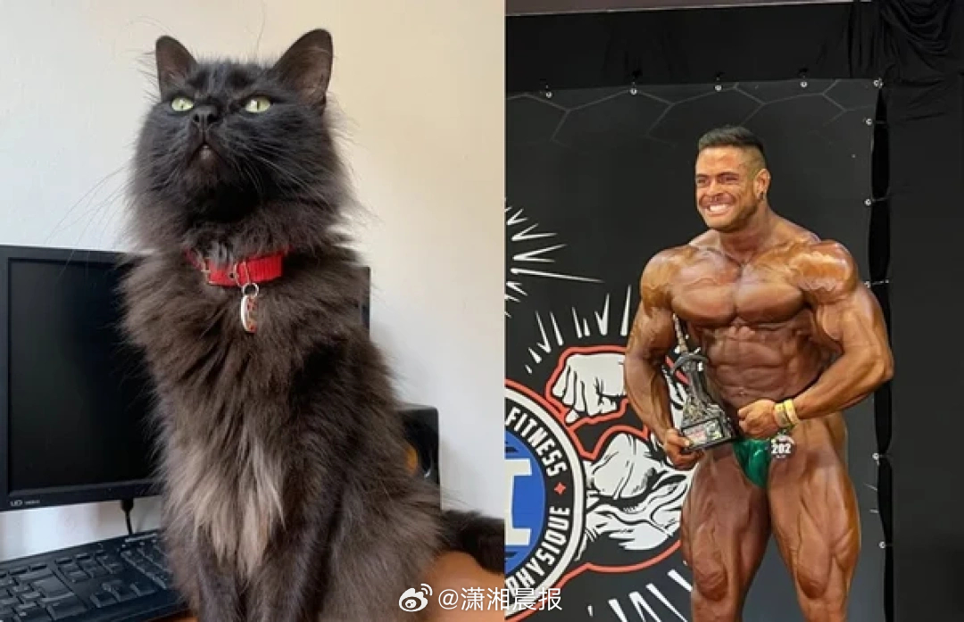 【#巴西健美冠军疑因爱猫去世中风身亡#】近日，巴西31岁健美运动员里卡多·诺拉斯
