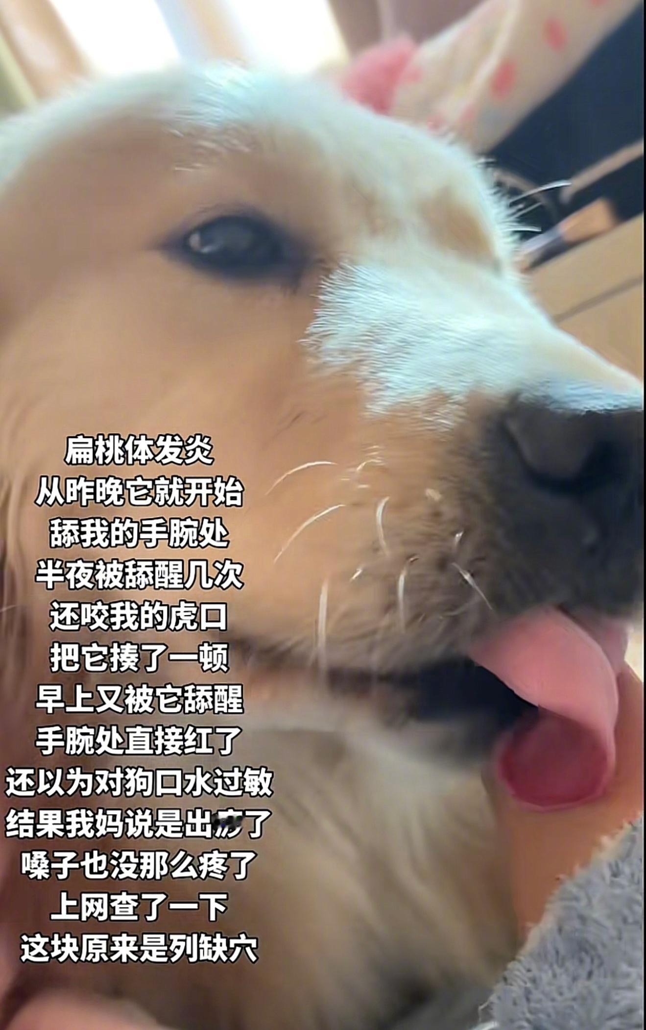 我嘞个dogtor啊！谢谢小狗医生！ 