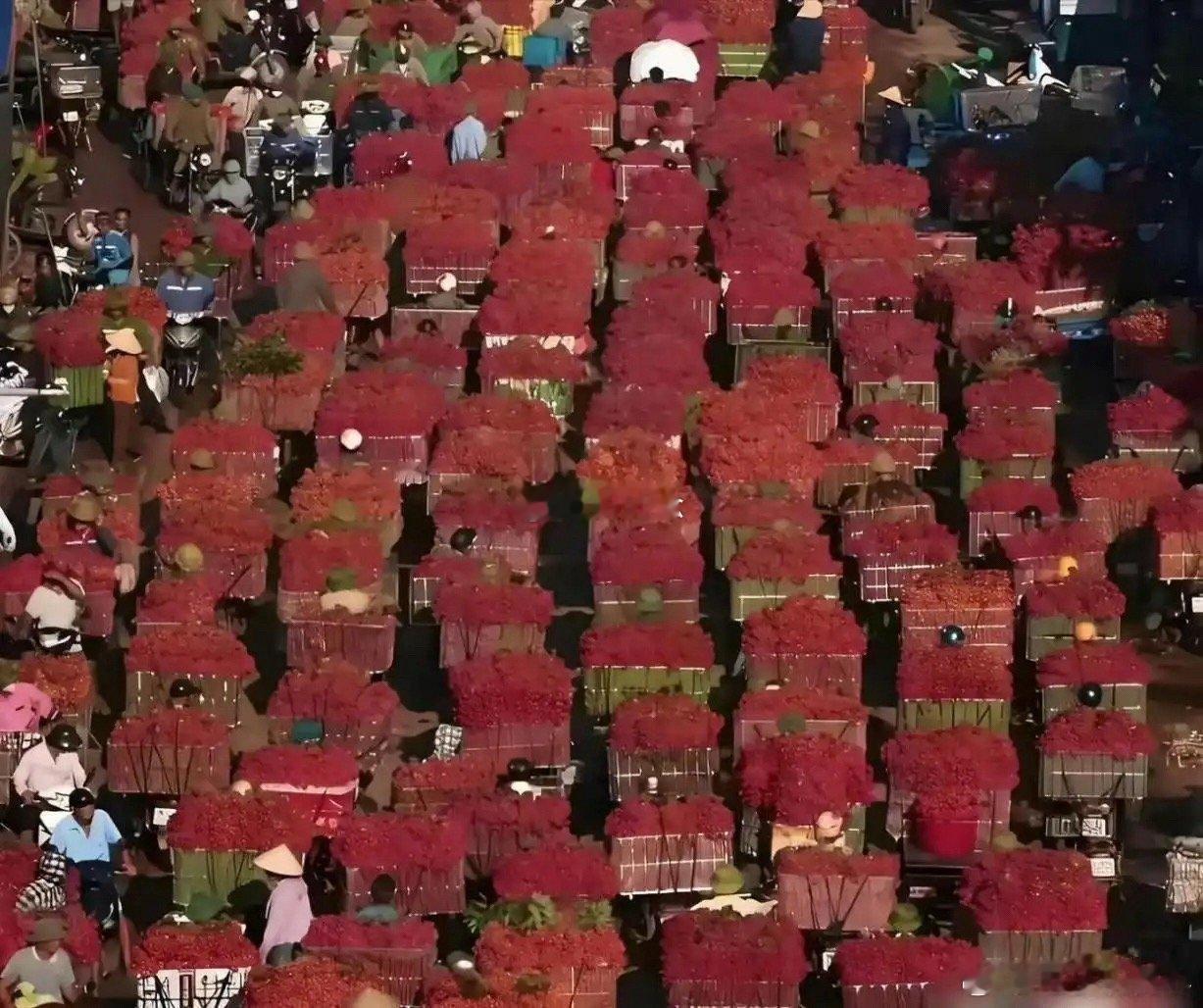 这些水果都要烂大街了，为什么还不肯降价呢？ 