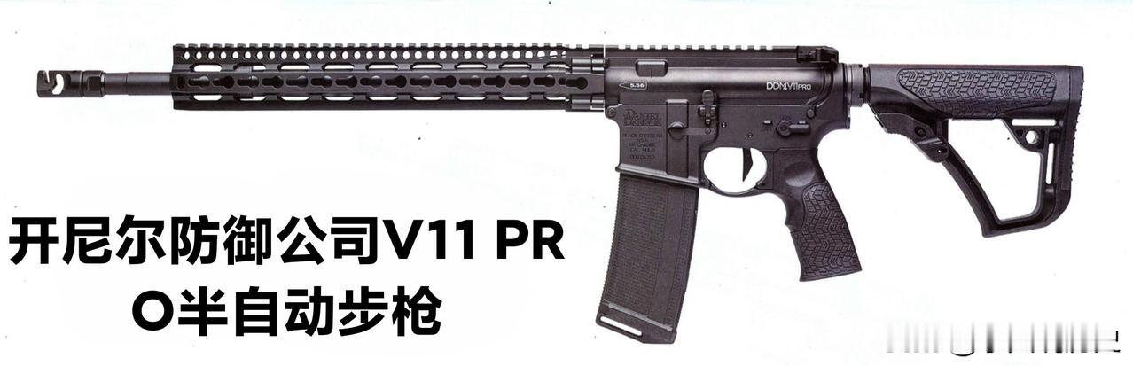 开尼尔防御公司V11 PRO 半自动步枪
V11 PRO卡宾枪是美国丹尼尔防御公