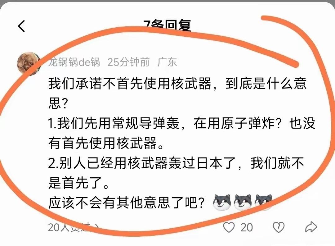 网友解释的“不首先使用核武器”，原来还能这样解读？！[允悲] ​​​
