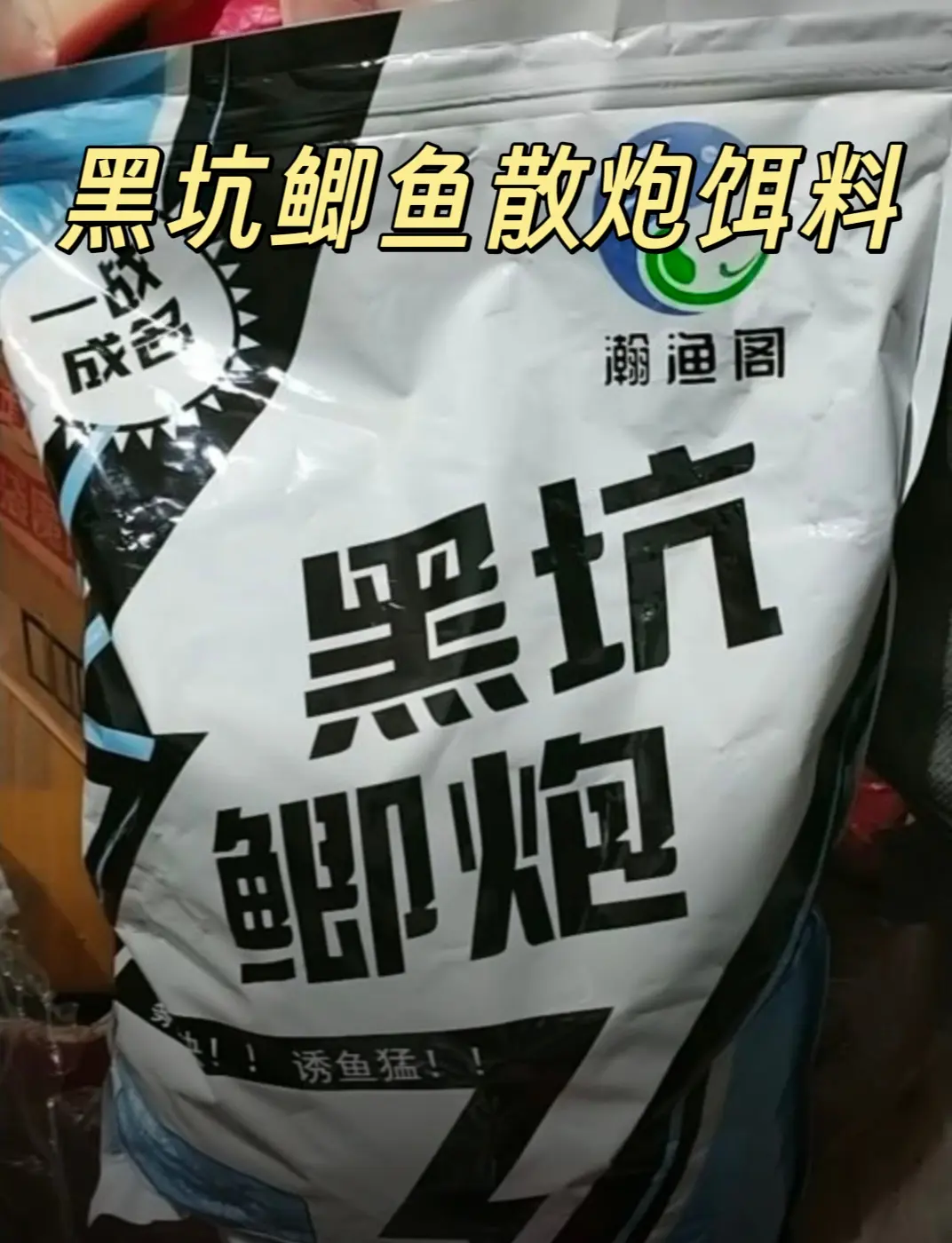 黑坑鲫鱼散炮