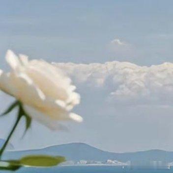 你透过车窗看风景 山川湖泊也在看你 ​​​