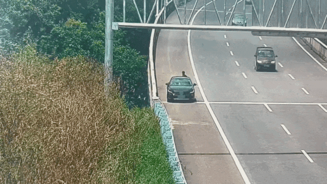 高速上男子痛苦停车，交警提醒：蒙个塑料袋呼吸