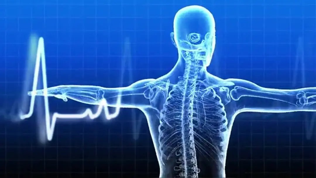 国内细胞存储技术场景正式落地科技发展到能让细胞像乐高积木一样，按需组装成新组织，