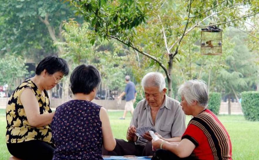 2025年末，人口数据更新界面显示两组新值：792万新生儿出生记录，1131万人
