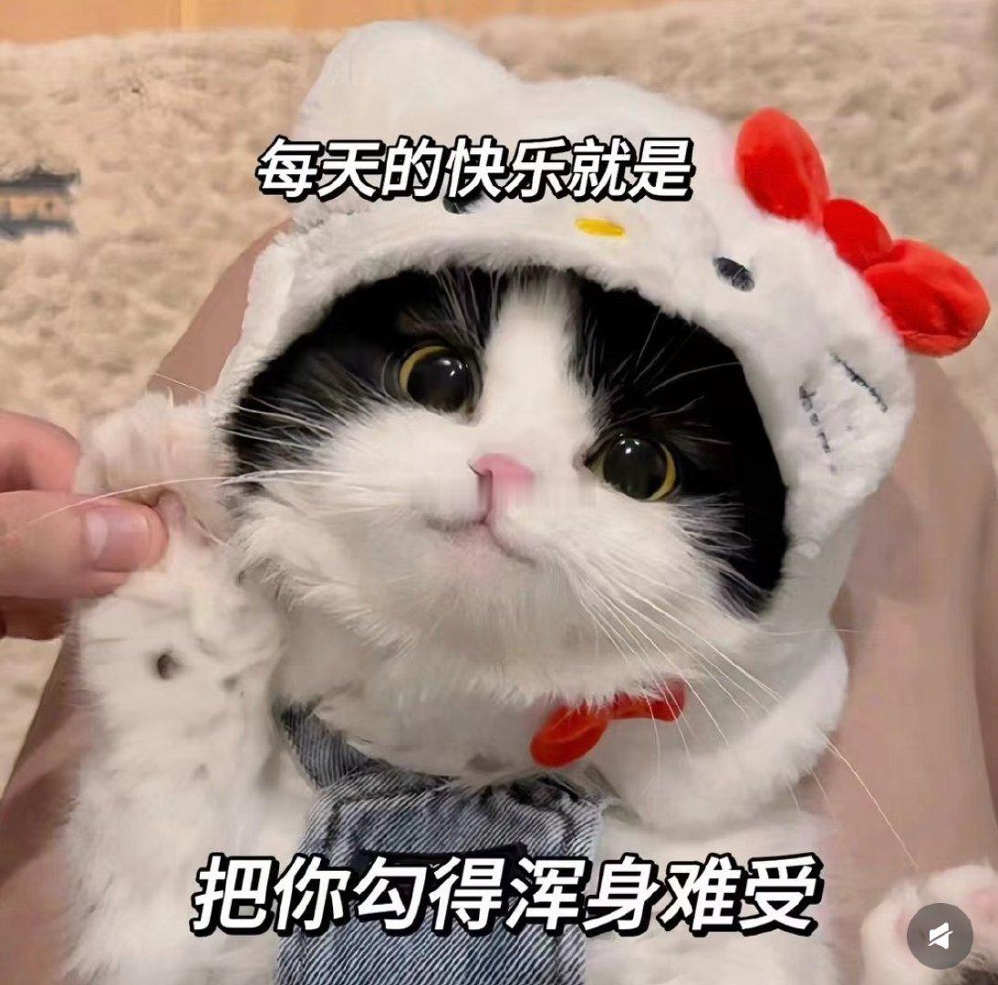 早呀我的宝宝们！我一觉醒来都发现已经十一点了吓我一跳，可能是昨天收拾了半天家累着