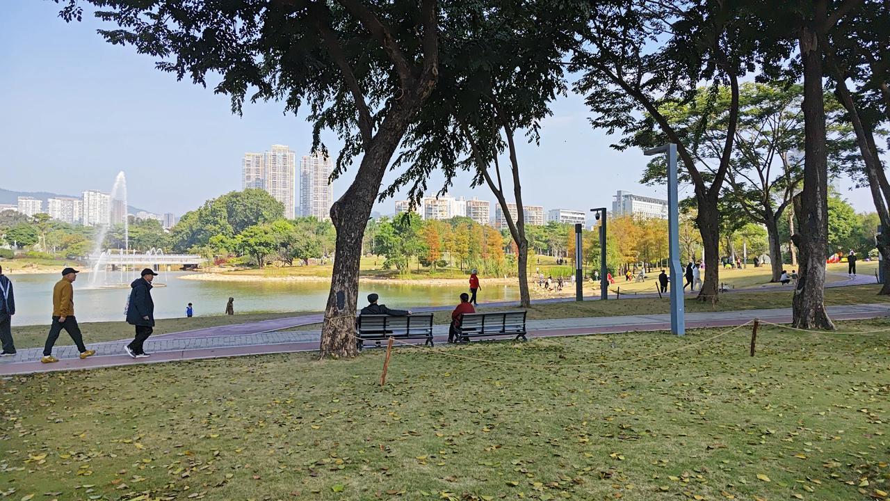 这是深圳的秋天，12月28日，秋高气爽，阳光灿烂。气候特别好，特别适合徒步骑行。