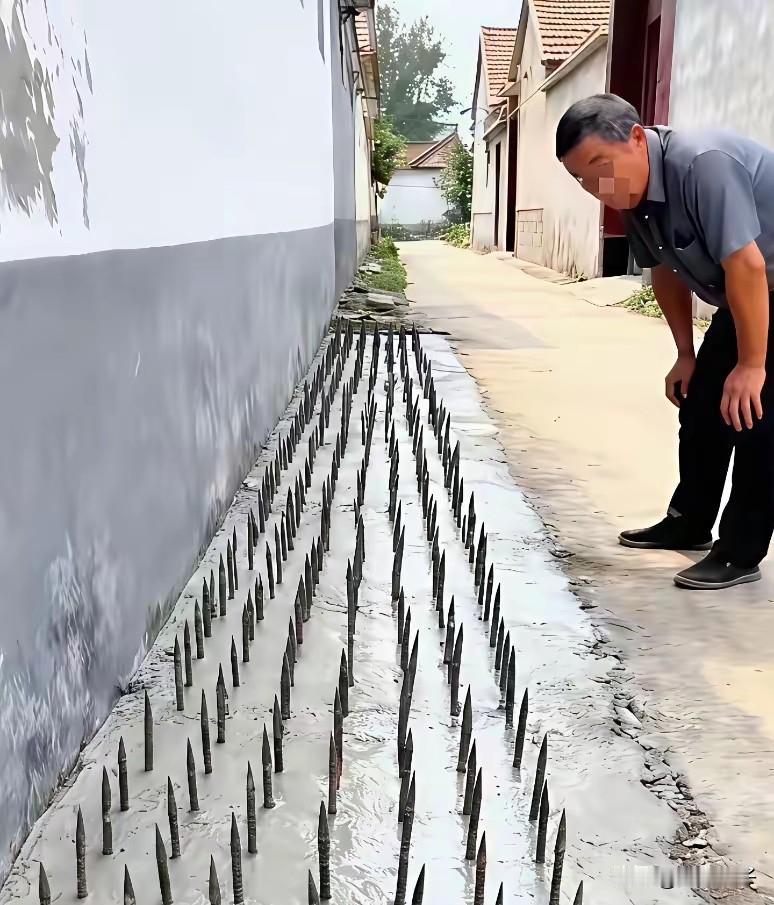 这是什么智商想出的损招。怕汽车靠近行驶中靠近自家墙。在墙外用水泥固定钢针。

别