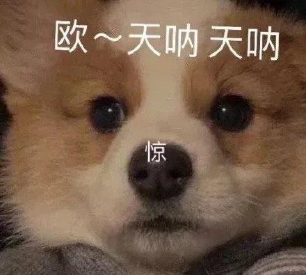 难道只有带上医生签名和盖章的病历单，才能证明一个人是真实的脆弱吗？职场规则有时候