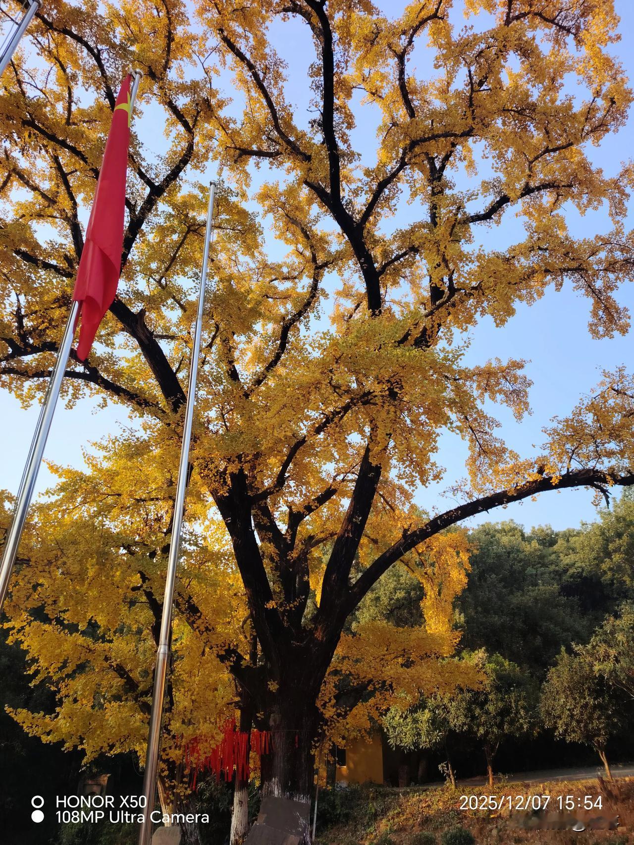 新的一年里，心情愉悦无忧无虑，坚持晨练打卡，锻炼身体，增强体质，开心快乐的每一天
