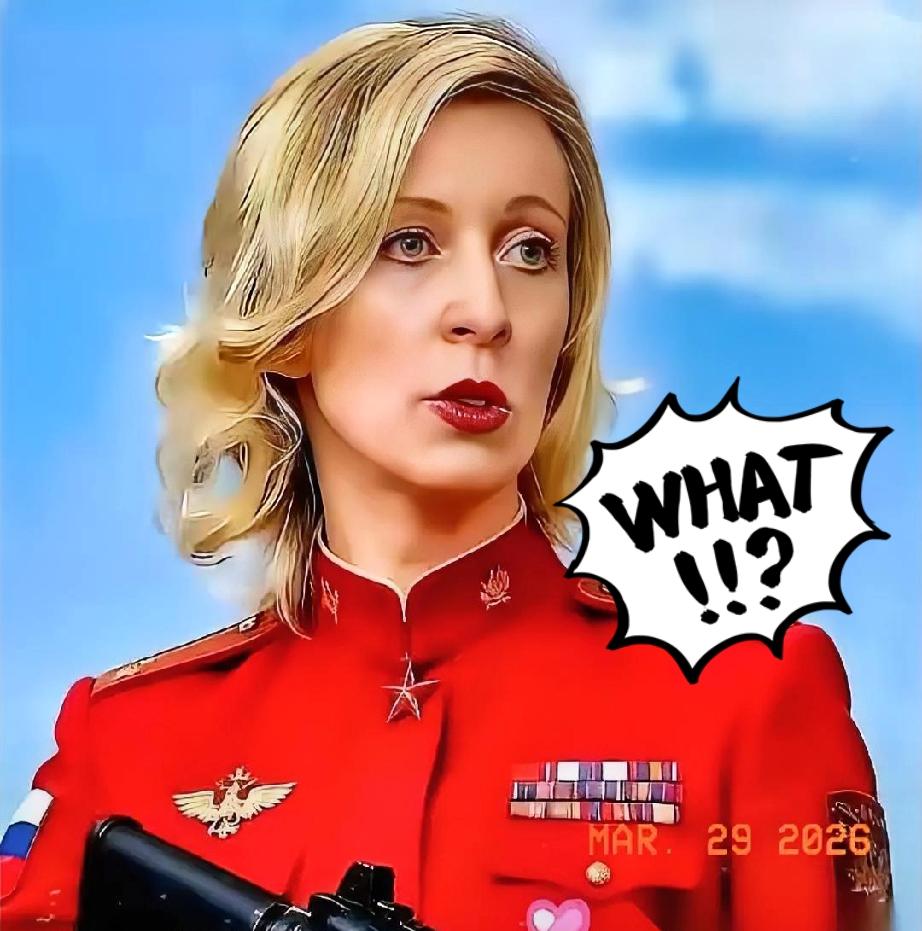 俄媒最近有一篇报道

把窗户纸彻底捅破了

那股子狠劲儿读着挺让人后背发凉。
