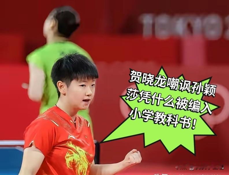 贺晓龙公开质疑孙颖莎编入小学教科书，直接把这件事推上舆论风口。

不少人跟着附和