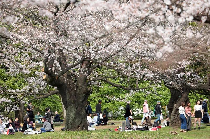 与其争论刑罚轻重，不如思考如何让“天下无拐”。需要筑起更坚固的防护网：让买家同样