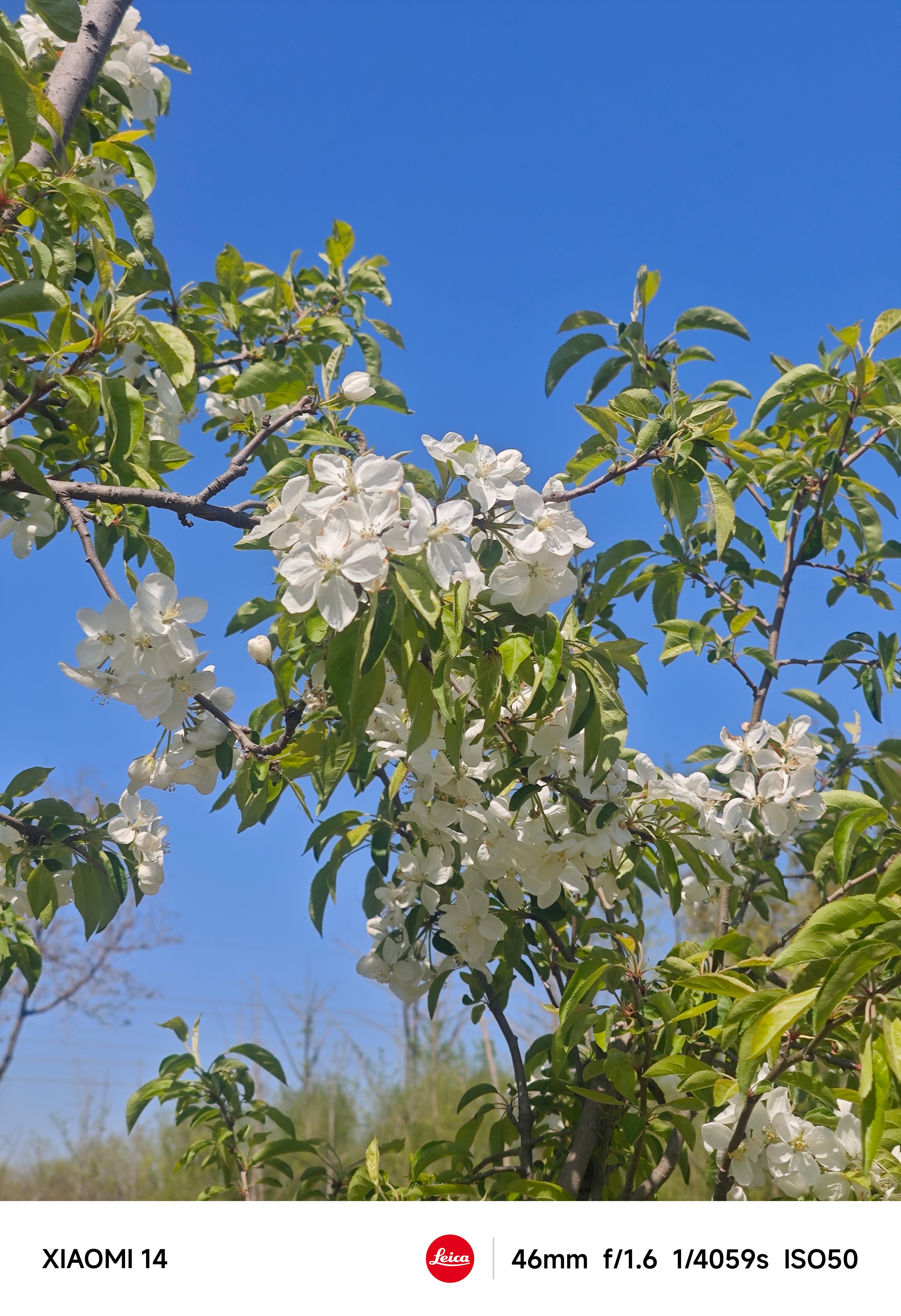 假期带两个小外甥一起来公园晒晒太阳，我也祛一下身上的霉味 德州·临邑县凤鸣湖湿地