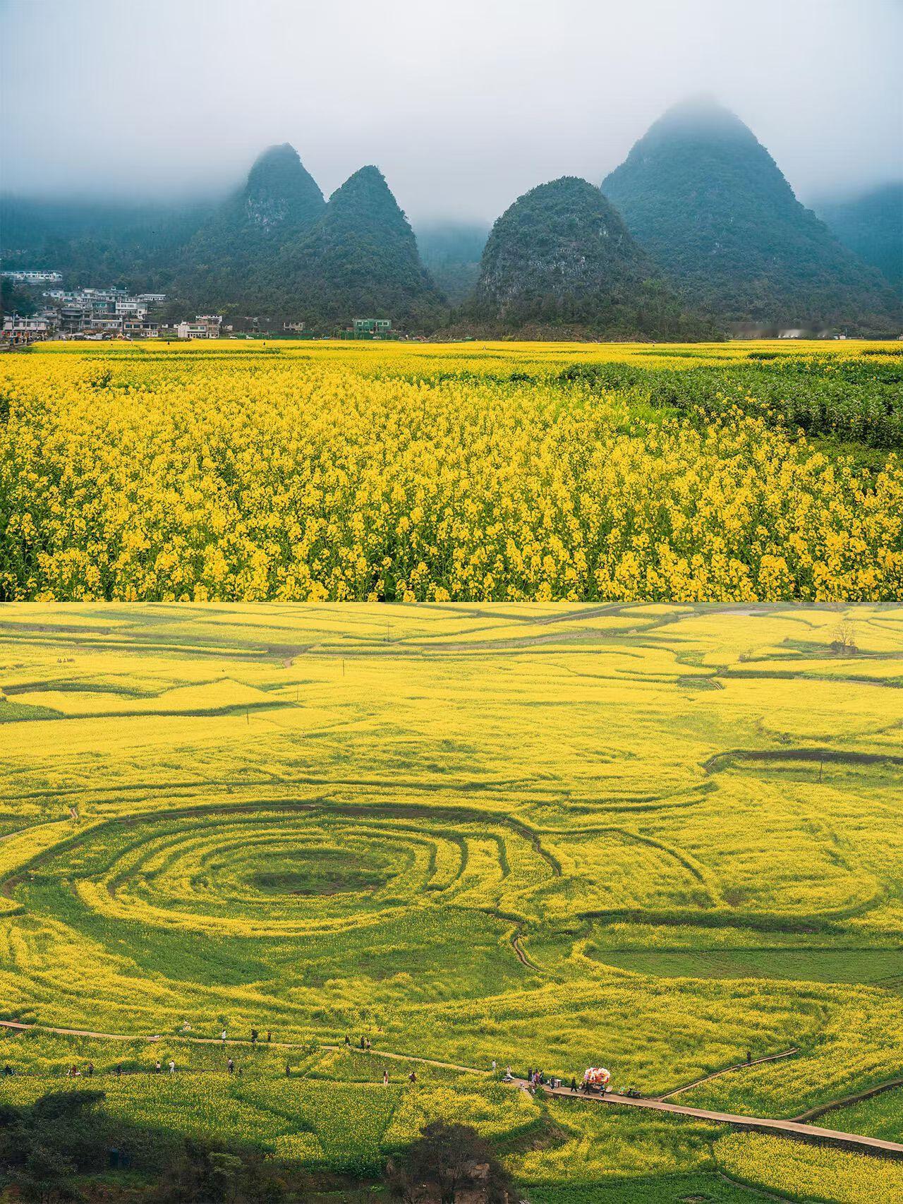 A股的量化交易能做到每秒交易299笔和融券T+0交易，从交易上来看，就是在鼓励投