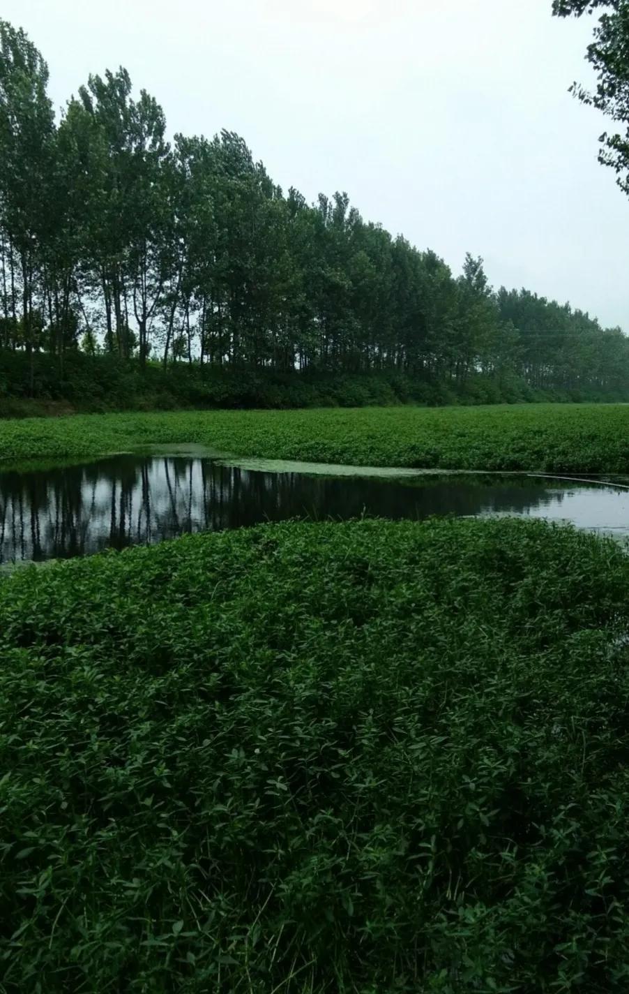 △△金秋寄语△△
☀️🌸🍃🍎
秋风见凉，夜也变长。
换季之时，注意健康。