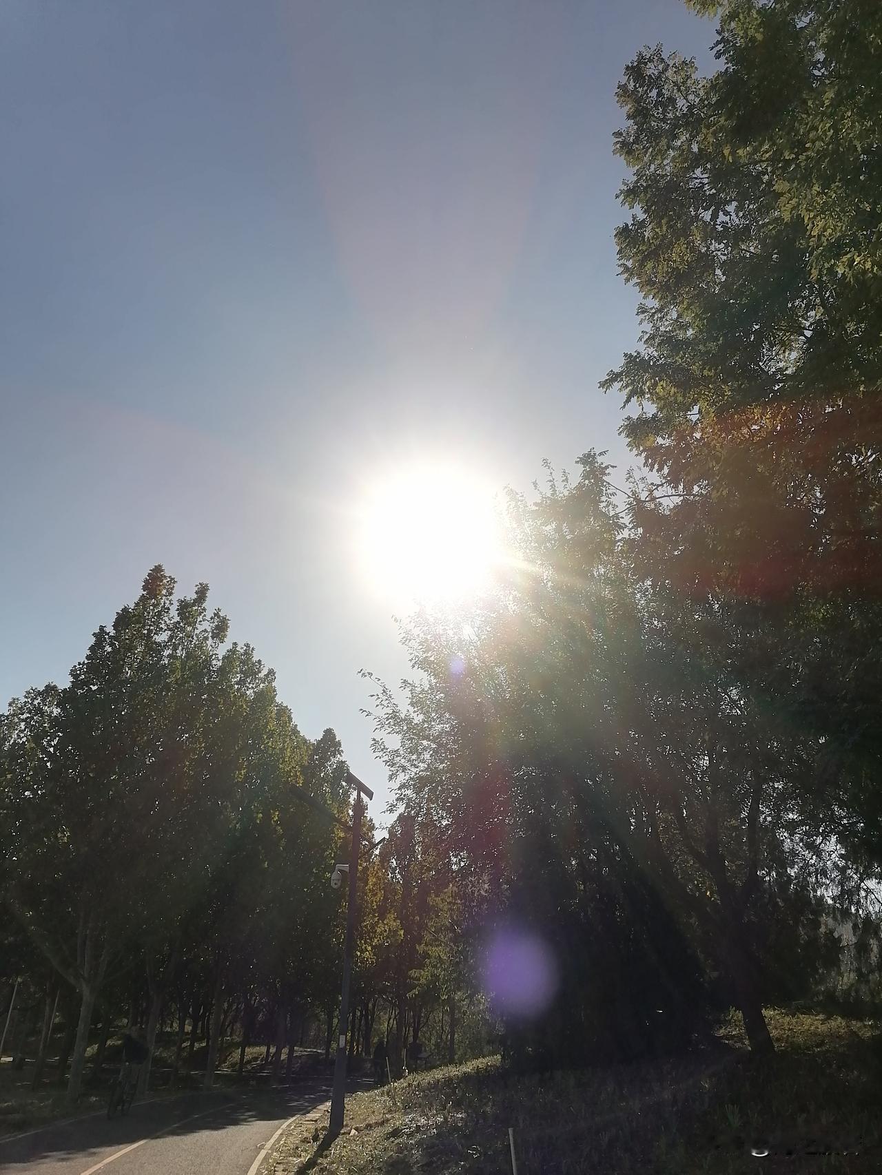 刚出锅的中药包拿到手了，热乎乎的让我手心发烫。接下来就喝吧，像喝果汁一样大口喝，