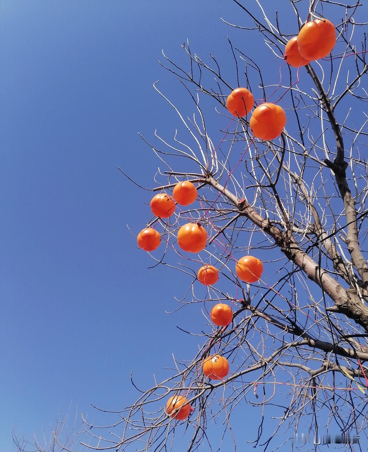 真正的强大，就是无论你行至何处，都要深爱你自己，历尽千帆，还会对自己有一种坚定的