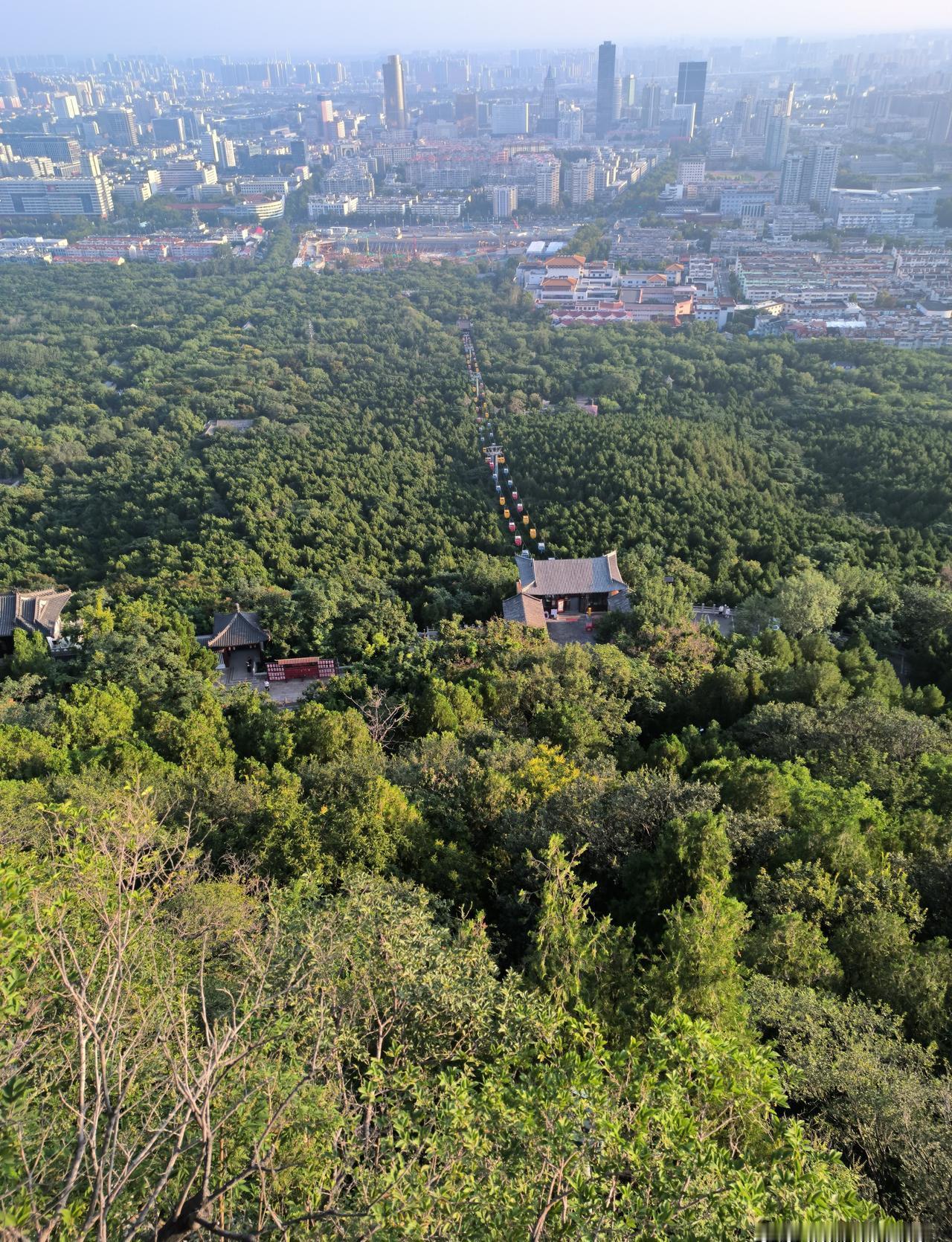 8260元到账那一刻，我先把2300元房贷划走，像交保护费。
接着1500元车险