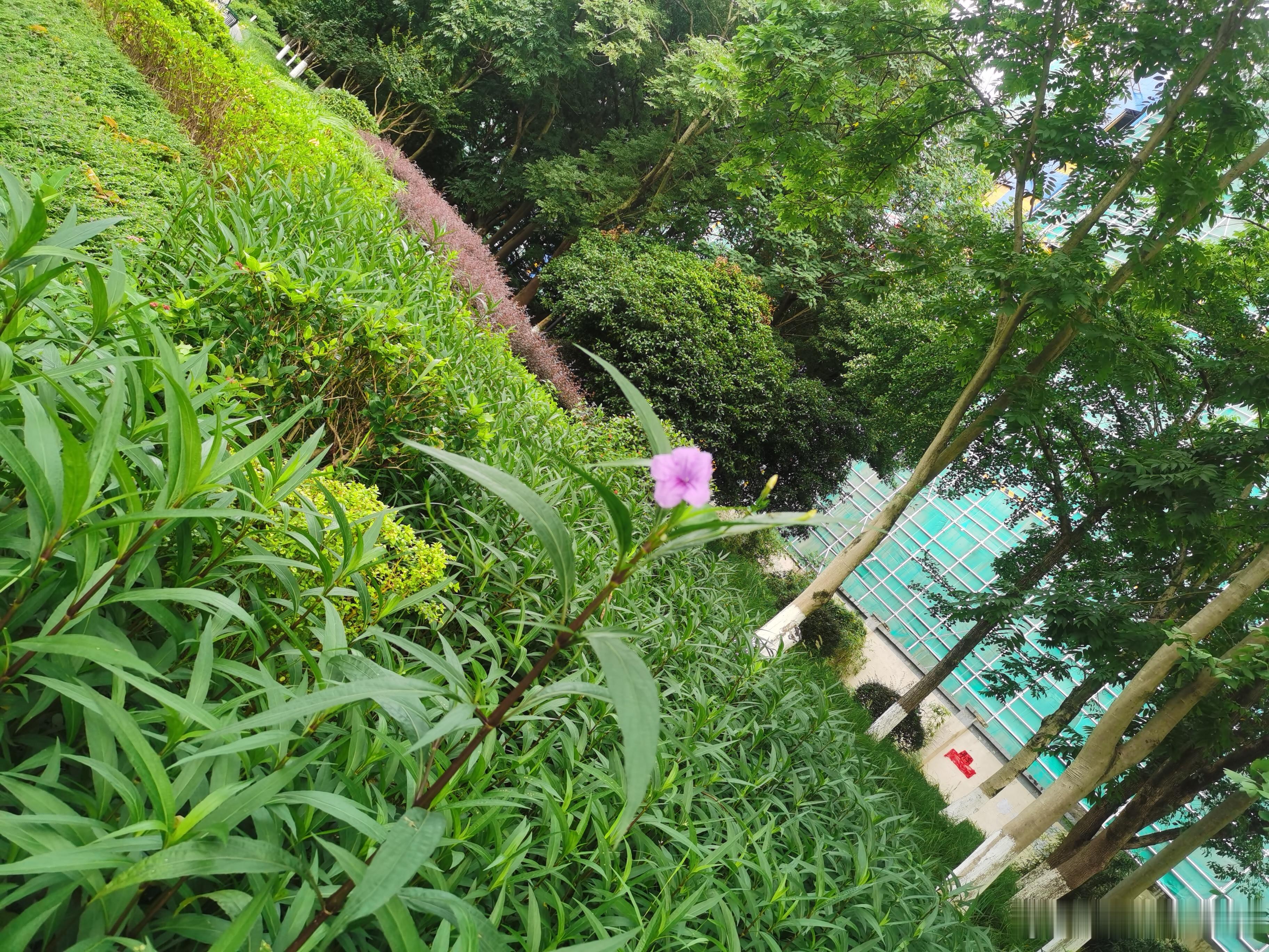 卓越=汗水+创新如果卓越是一座高塔，那么九十九层砖石，是沉默的汗水，是重复的日日