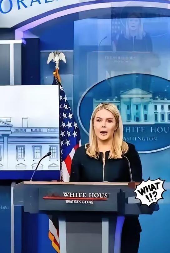 美国被中国再度拒绝了，美国官员很沮丧！ 白宫负责AI与加密货币事务的官员萨克斯曾