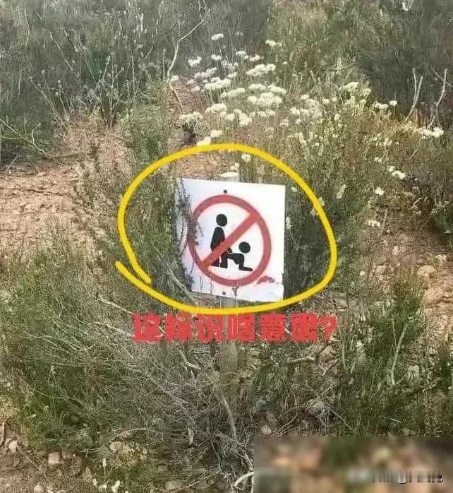 老司机门解释一下，这个标志是什么意思，我学驾照的时候怎么没看到过[抠鼻]