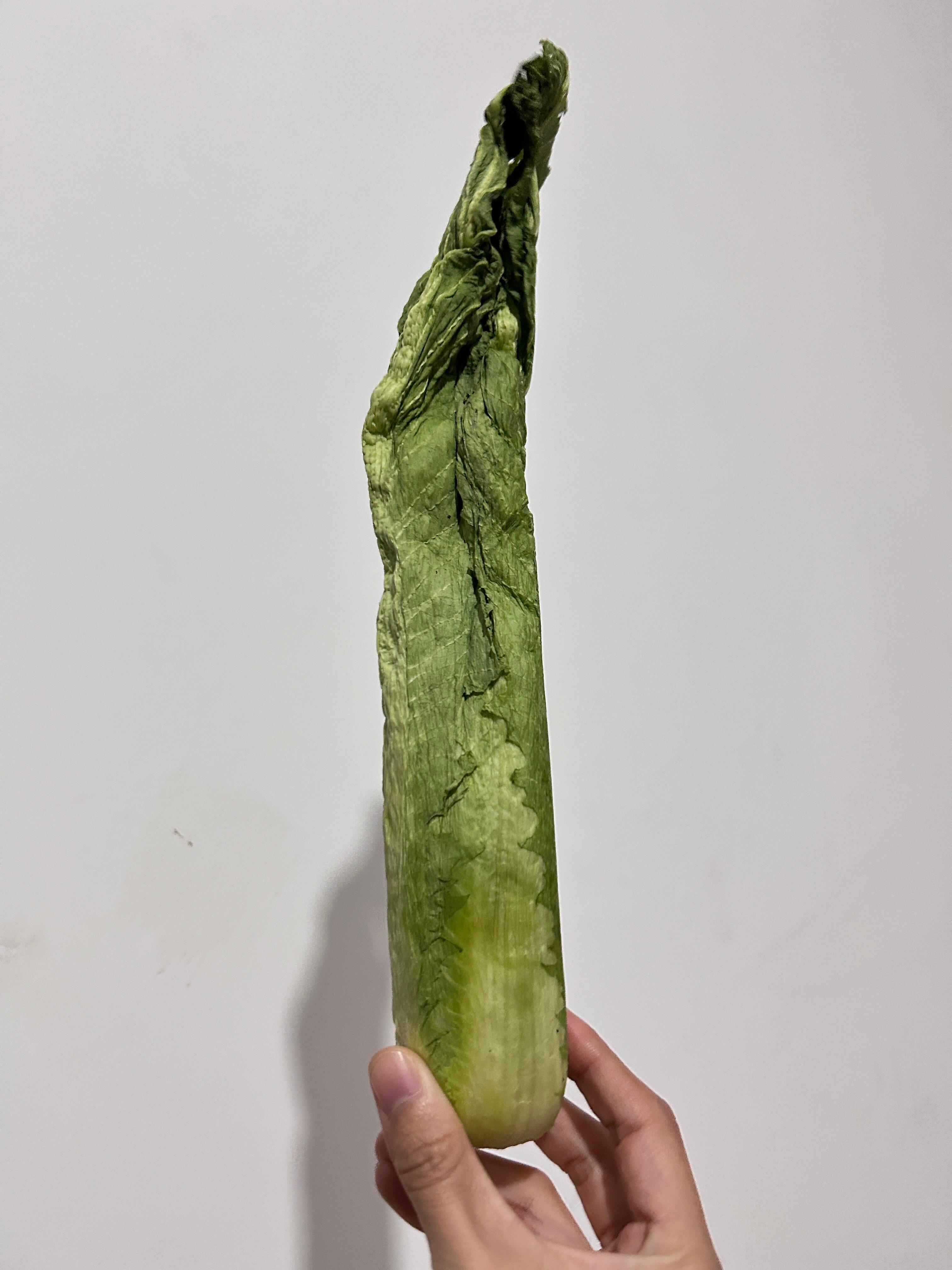 我妈直接种出了冻干蔬菜 