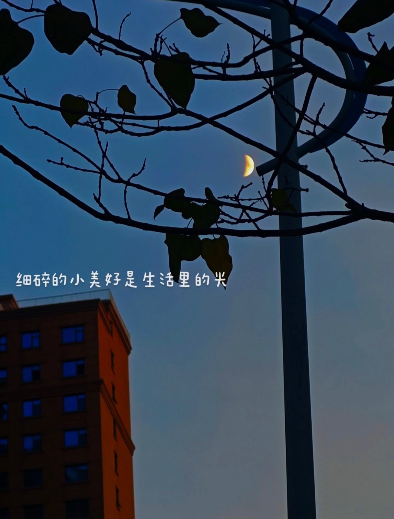 💐人间清醒｜温暖治愈文案🍃🪁⸝⸝“好的关系，从来不费劲，无论和谁。”𝐆?