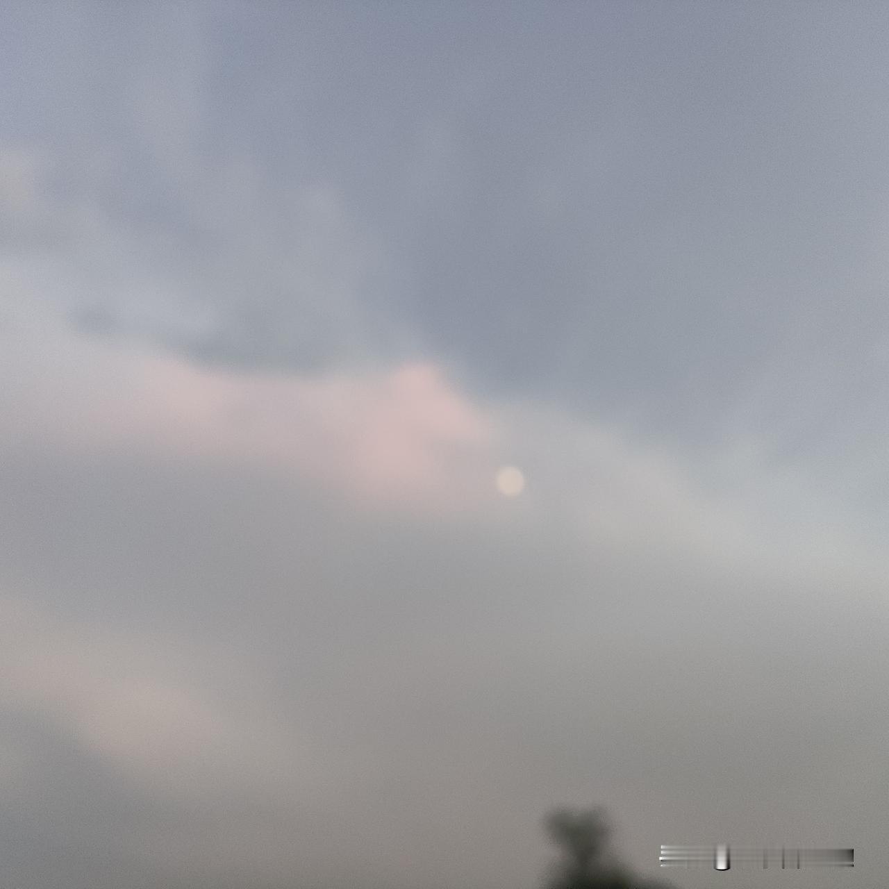 老夏前天晚上开始发烧，回来有气无力！他这个人在家的时候平时说话很粗鲁，也很不耐烦