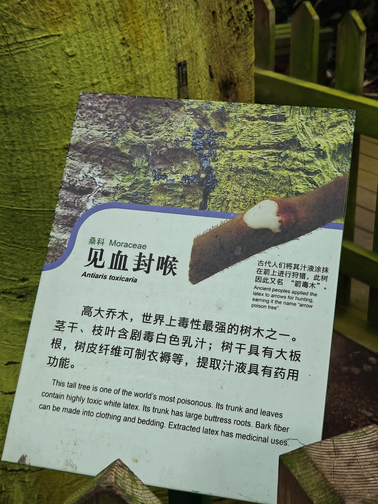 哪里人不过七月十五只过七月十四？
我知广西及粤西地区是过七月十四的，不知还有哪些