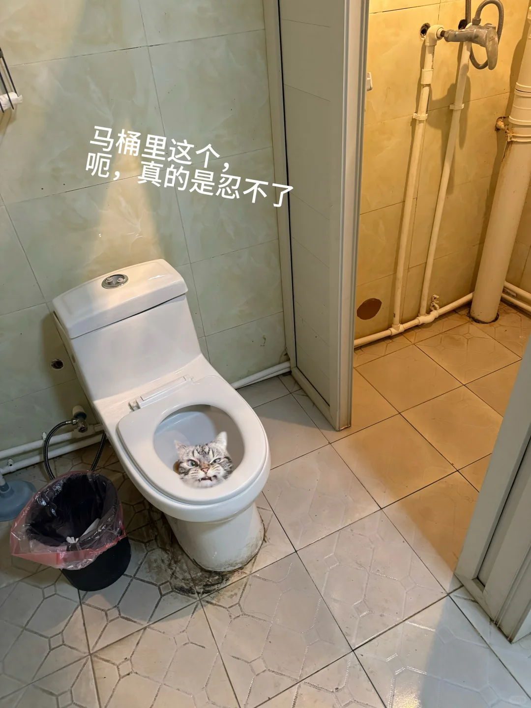 旅行团订的珠峰这个酒店，你能忍不？
