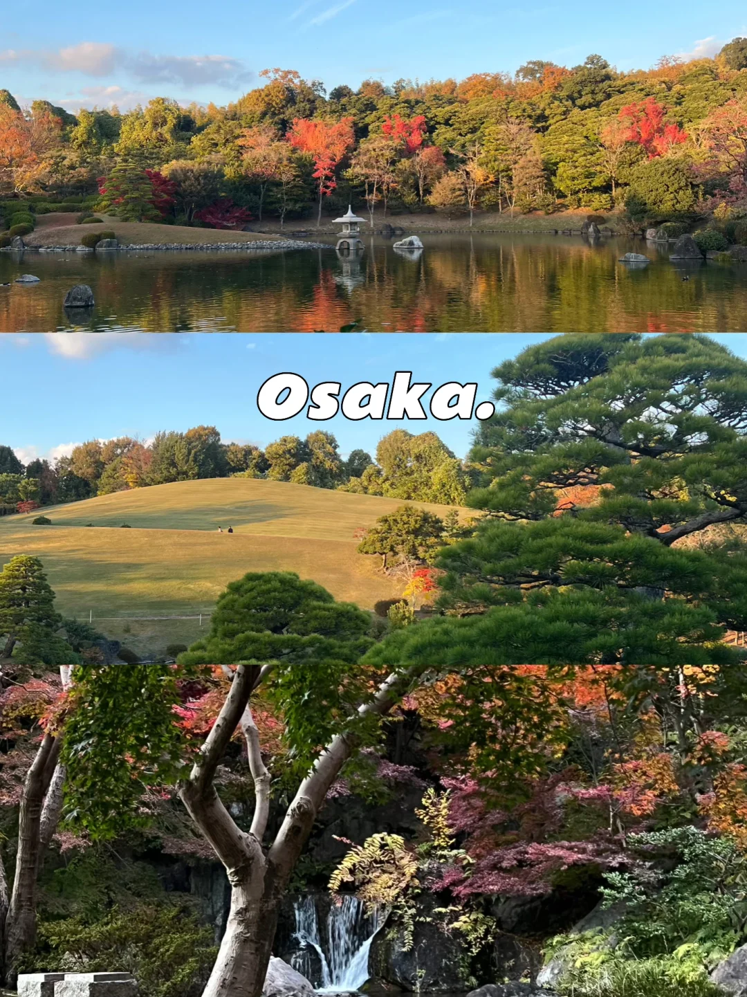 Osaka大阪万博纪念公园