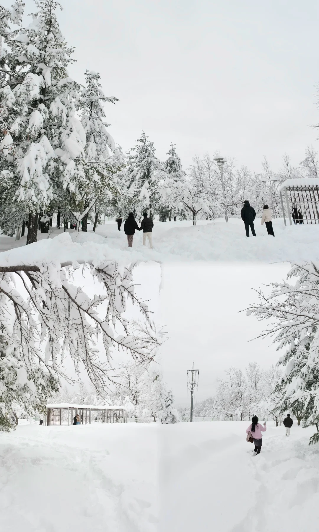 🇰🇷｜你敢信😱这是大雪后的高速休息站！