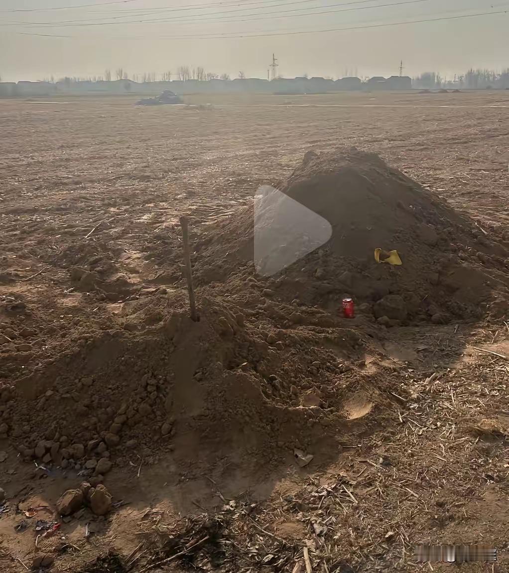 高广辉死了还不被允许进祖坟，一个人孤独地埋在了荒野，没有墓碑，没有花圈，只有一堆
