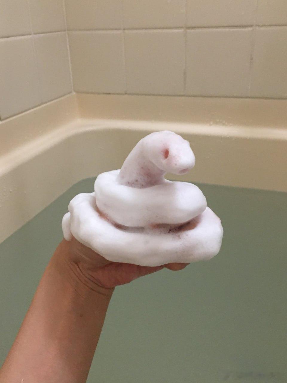 🐍 