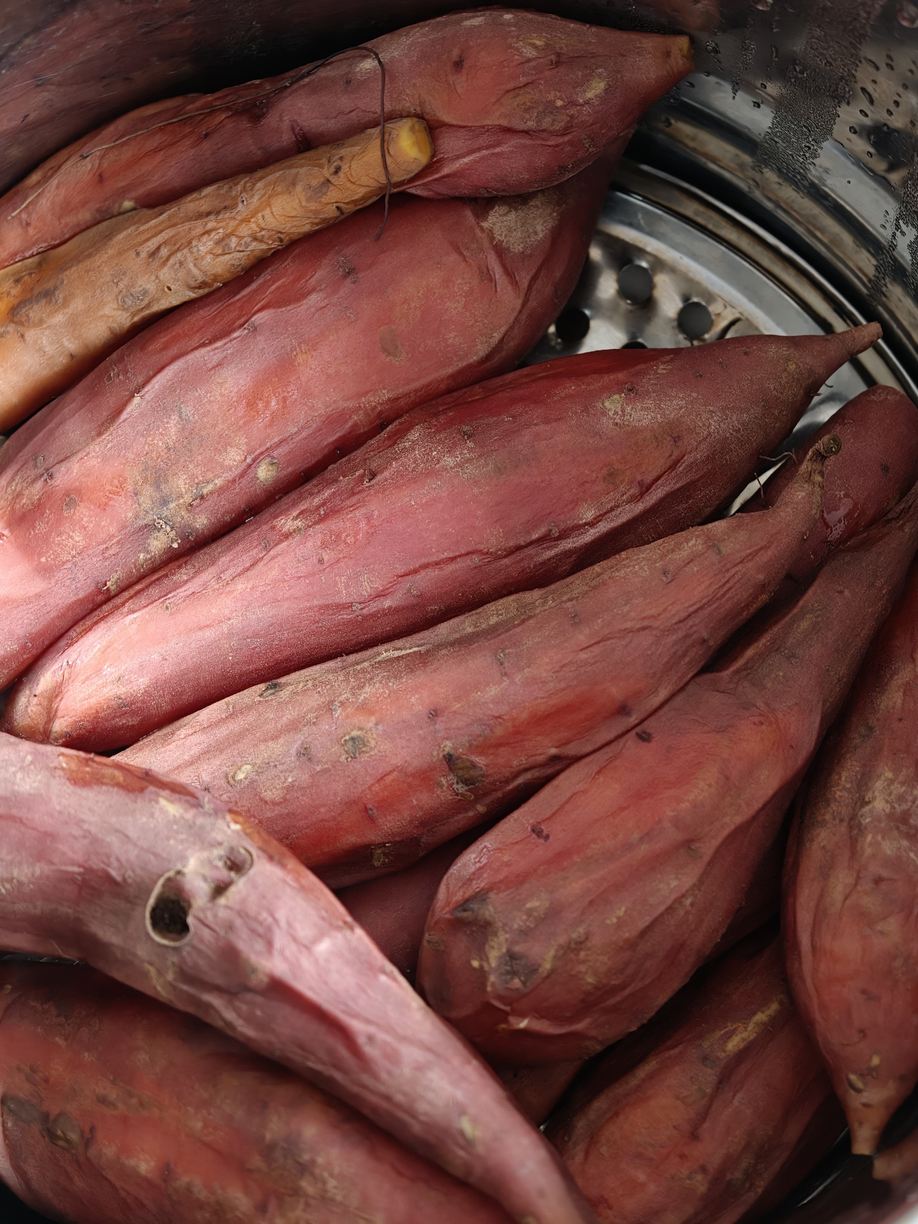 回家第一顿饭——红薯 