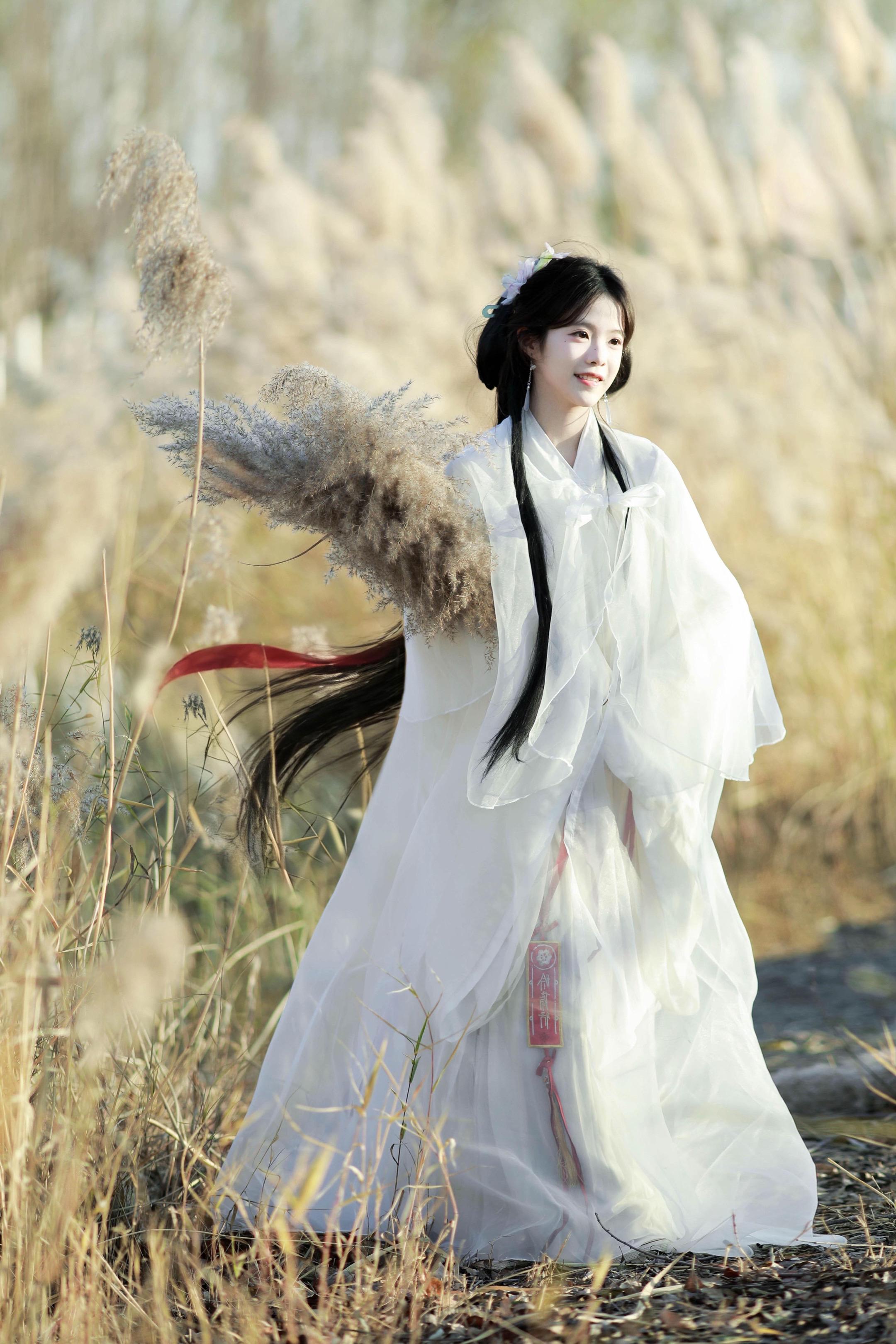 野花艳目 不必牡丹。花开花落，无限寂寞 北京通州的一大片芦苇荡给我给找...