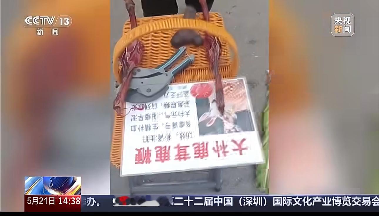 “50元一棵”变“50元一克”，用马鹿茸冒充梅花鹿鹿茸，暴力强卖，专坑老人。28
