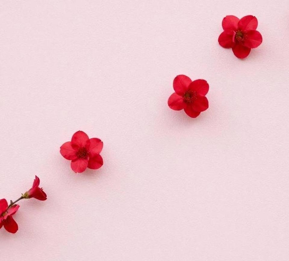 跟你们说一个实话，
现在真的不要，
再去交什么朋友了，
老朋友也尽量少联系，
除