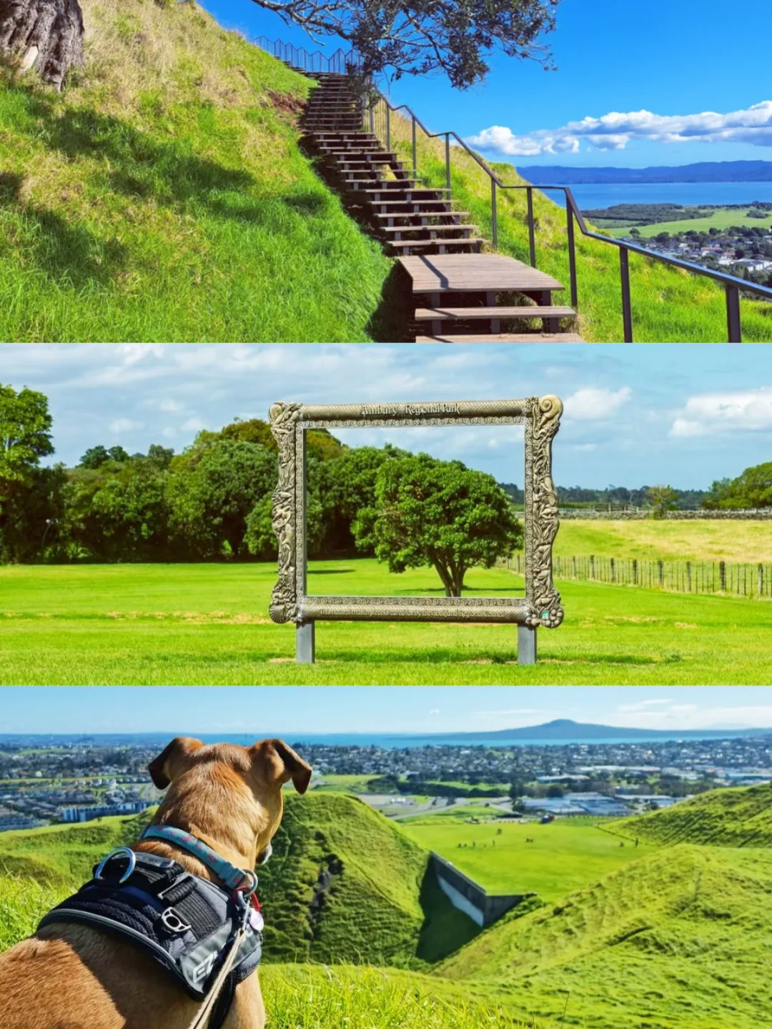 🔵奥克兰周边30分钟，如果只去一个地方..