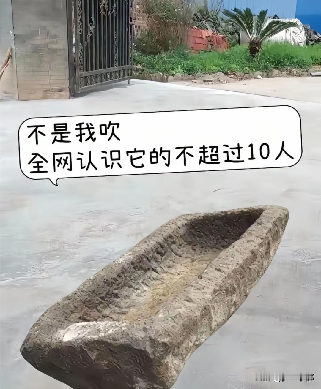 不是我吹，全网认识它的不超过10人